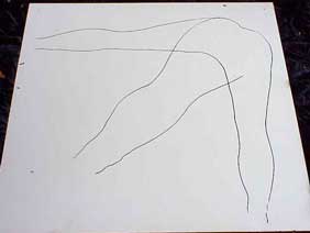 laura hollick body tracing